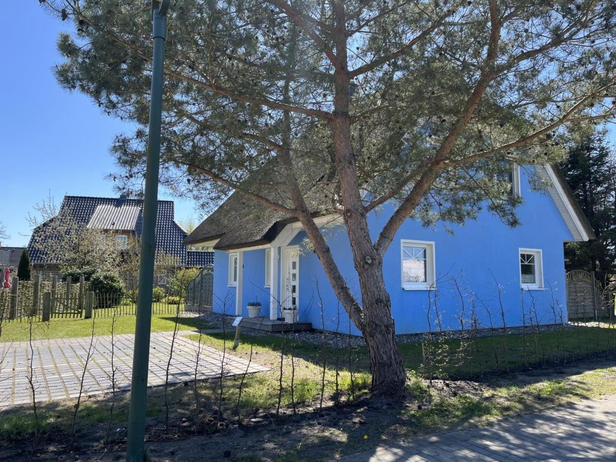 Ferienhaus De Niege Leive Born Ngoại thất bức ảnh